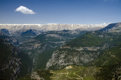 DSC_7078 (2)